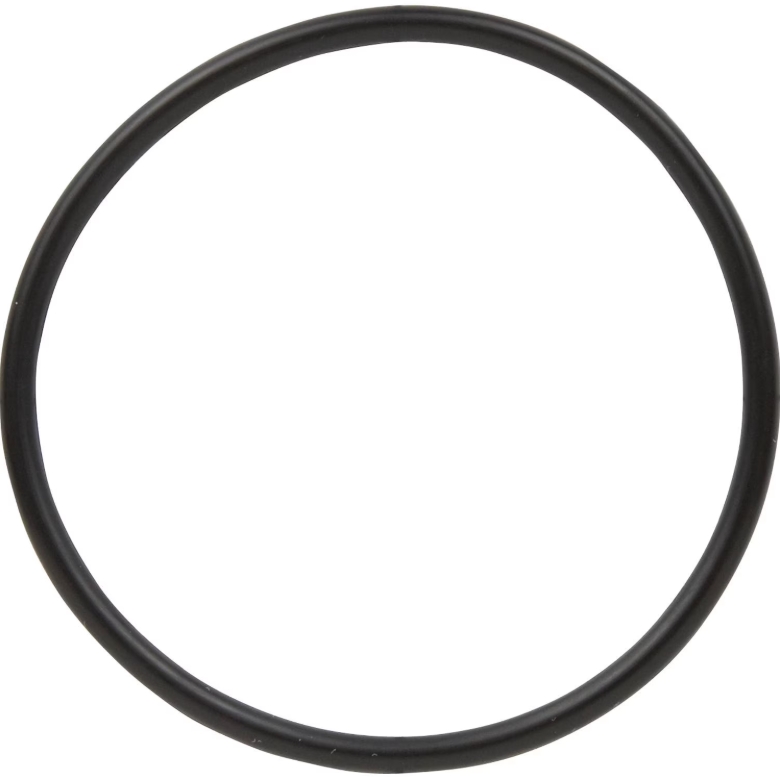 Frigidaire 154246901 Dishwasher Pump O-Ring, Rear