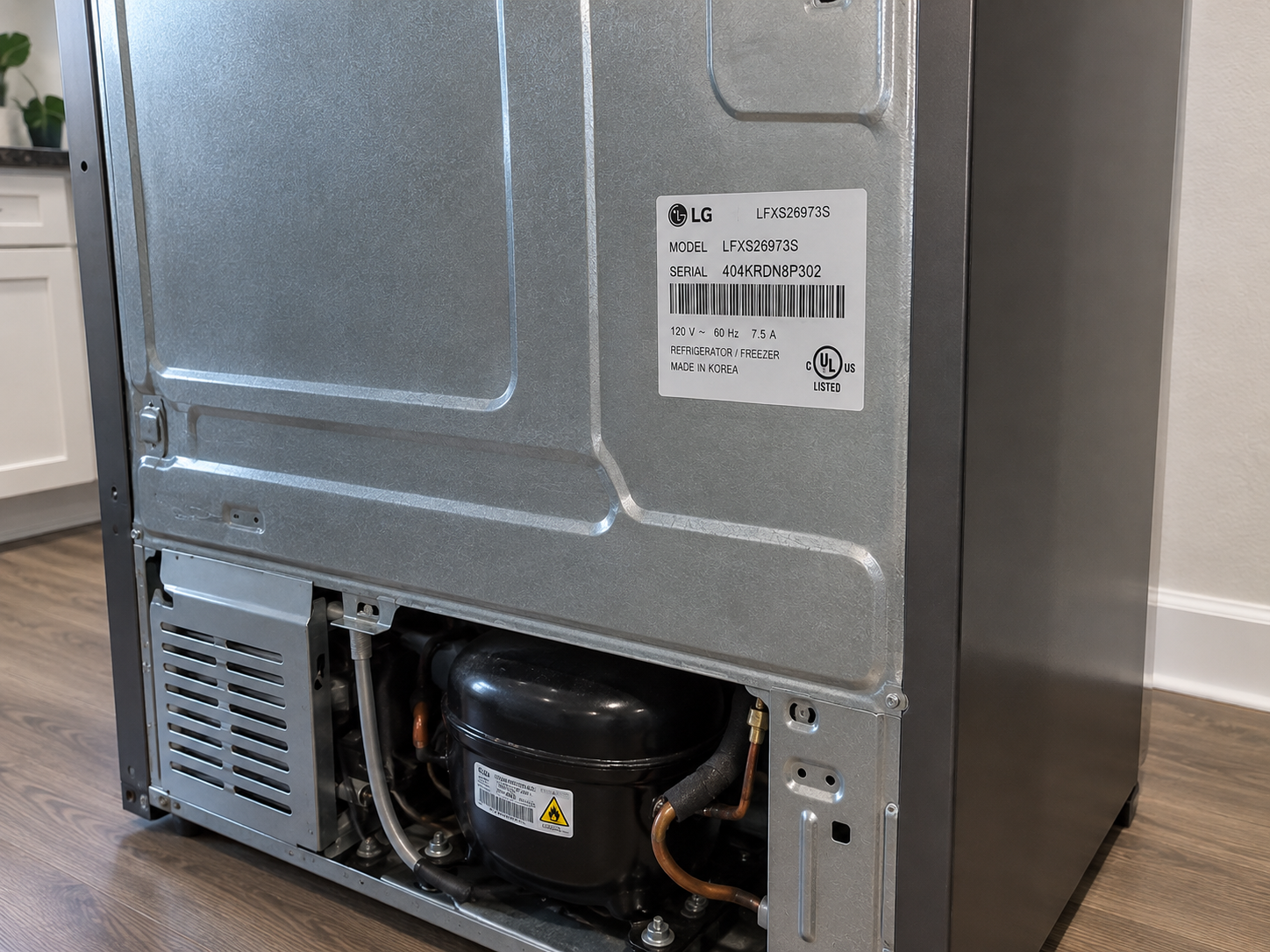Refrigerator rear panel and compressor